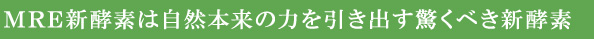 MRE見出し